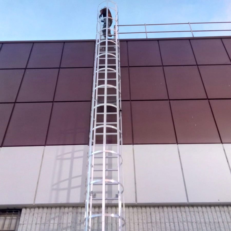 Scala con gabbia di protezione